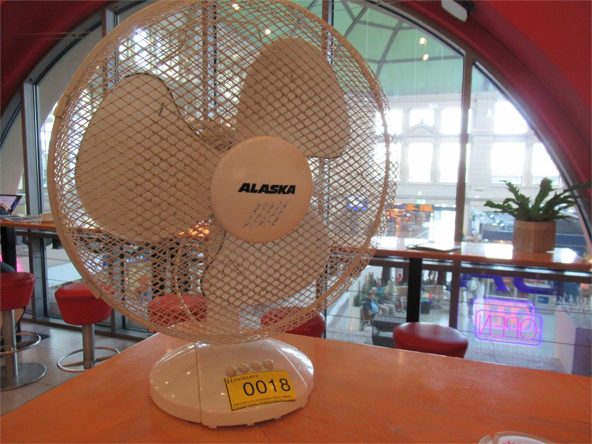 ALASKA DF 4200 Tischventilator